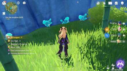 Ore Chunks và Crystals