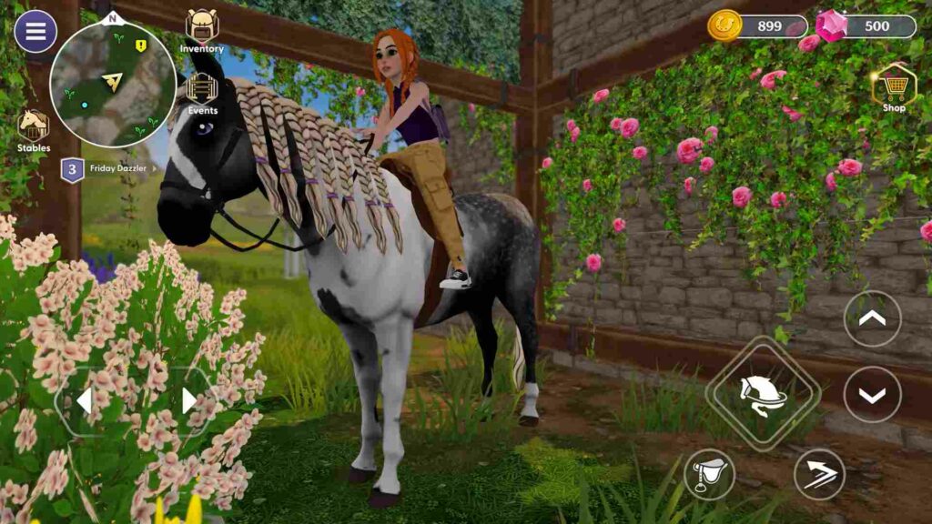 Star Equestrian - Horse Ranch Poster